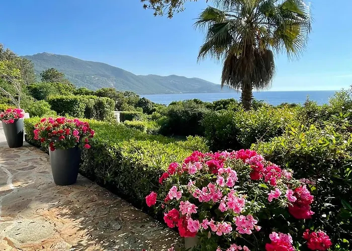 Ancone * Calcatoggio (Corsica)