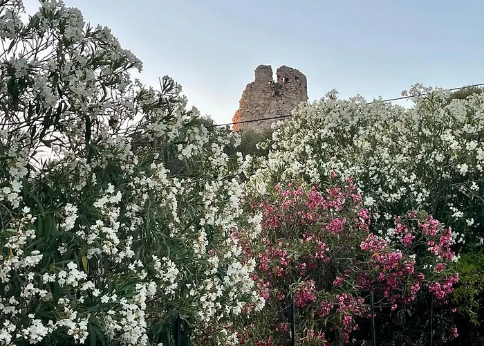 Semesterbostad Ancone Calcatoggio (Corsica)