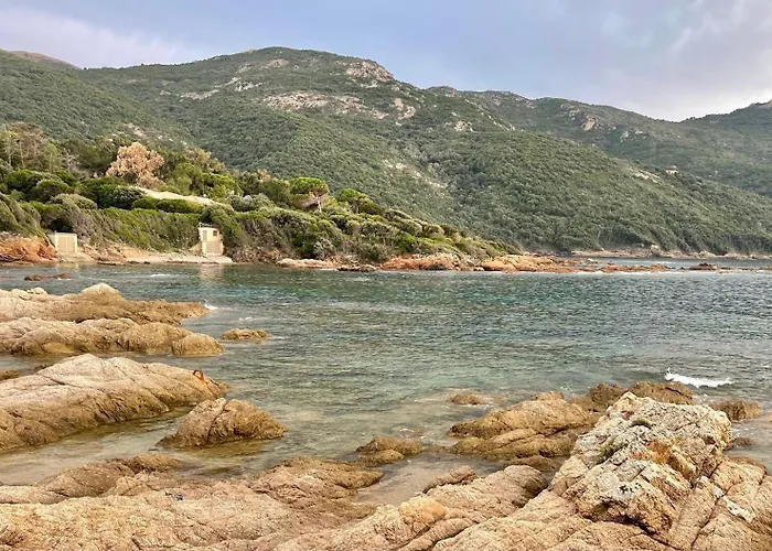 Ancone Semesterbostad Calcatoggio (Corsica)