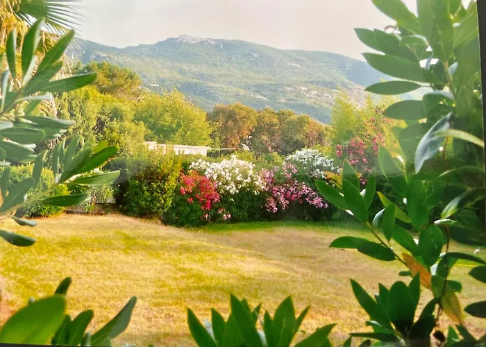 Ancone Calcatoggio (Corsica)