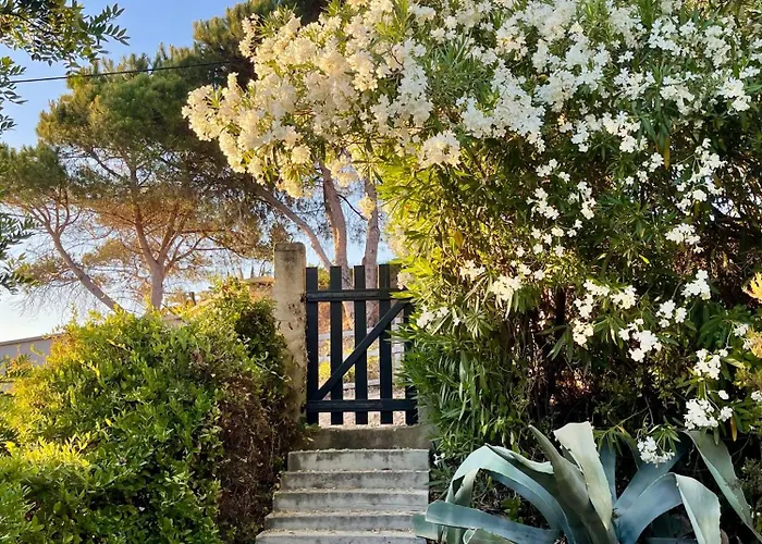 Ancone Calcatoggio (Corsica)