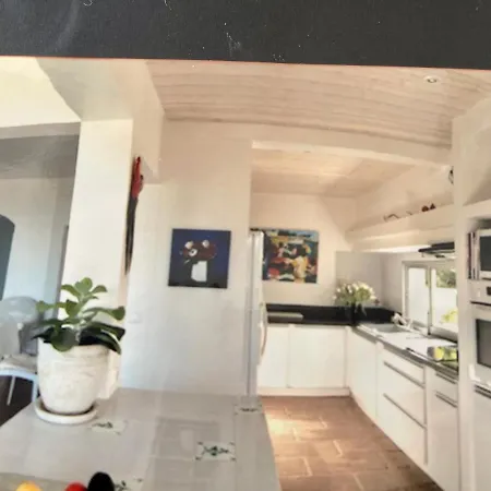 Ancone קלקטוג'יו