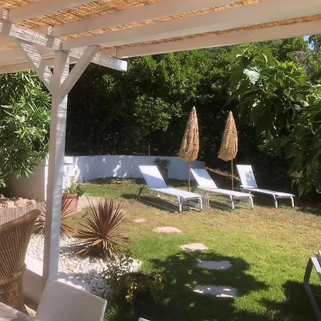 Ancone קלקטוג'יו