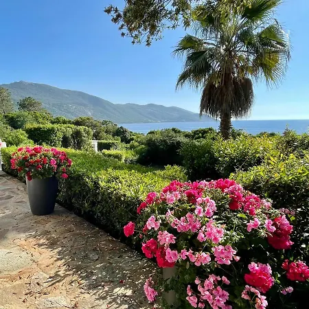Vue Panoramique A 2 Mn De La Mer * Calcatoggio (Corsica)