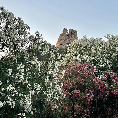 Feriehus Ancone Calcatoggio (Corsica)