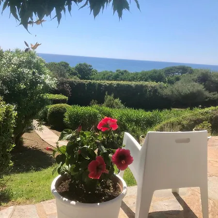 Vue Panoramique A 2 Mn De La Mer * Calcatoggio (Corsica)