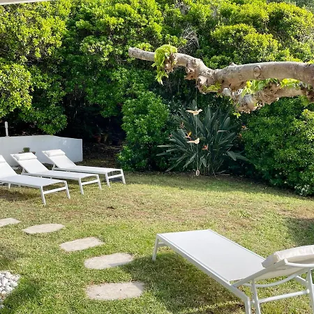 Ancone Калькатоджо