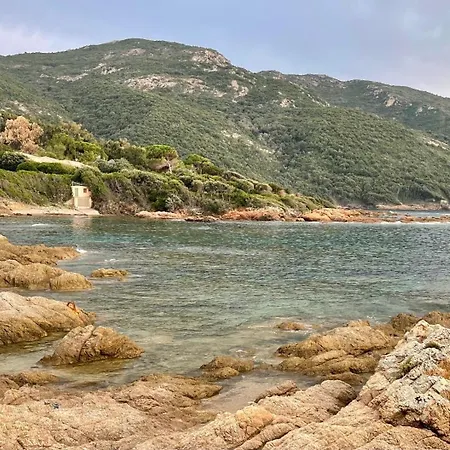 Ancone Feriehus Calcatoggio (Corsica)