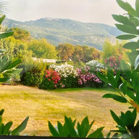 Ancone Калькатоджо