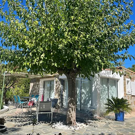 Ancone Calcatoggio (Corsica)