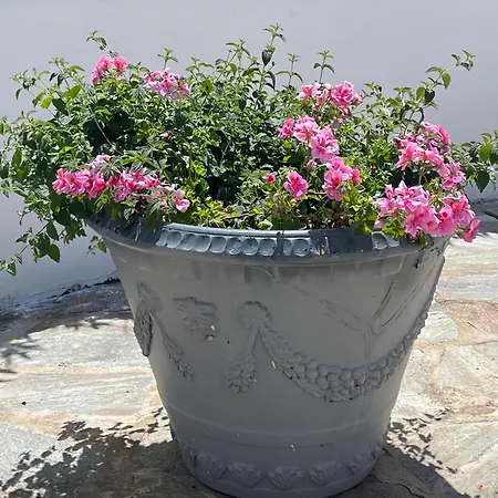 בית נופש Ancone