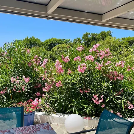 A 2 Mn De La Mer, Ancone Holiday home Calcatoggio (Corsica)