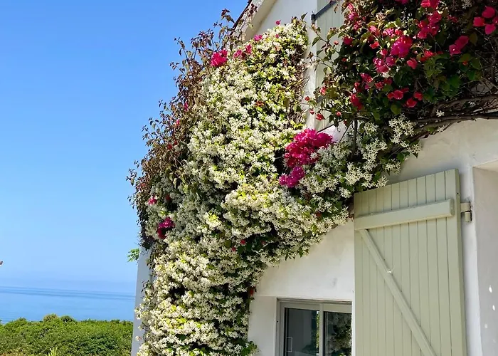 Ancone Дом отдыха *