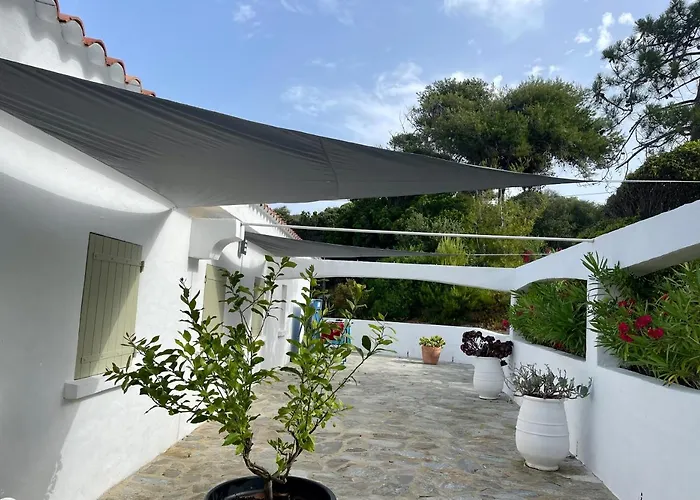 Ancone * Калькатоджо