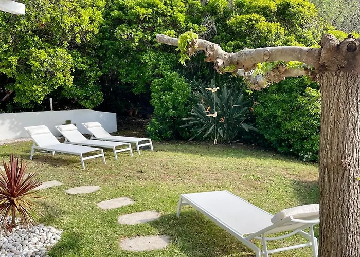 Ancone カルカトッジョ