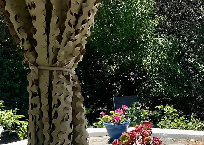 Ancone カルカトッジョ