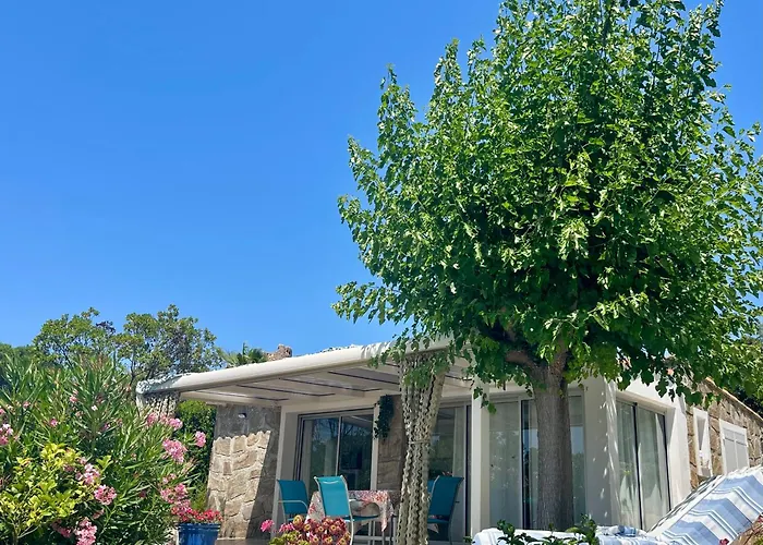 Ancone * カルカトッジョ