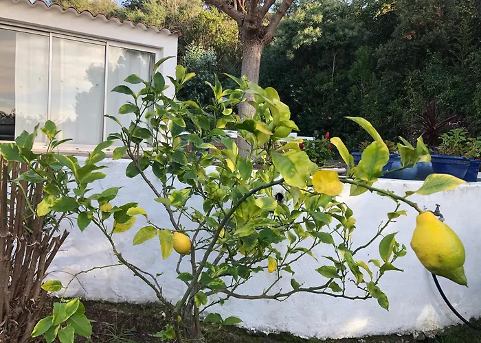 Дом отдыха Ancone