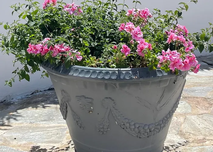 Дом отдыха Ancone